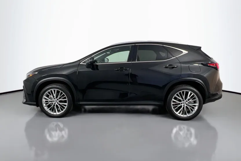 2025 Lexus NX 350 Luxury photo 1