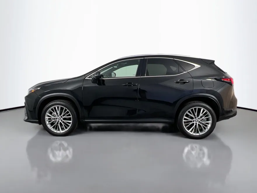 2025 Lexus NX 350 Luxury photo 1