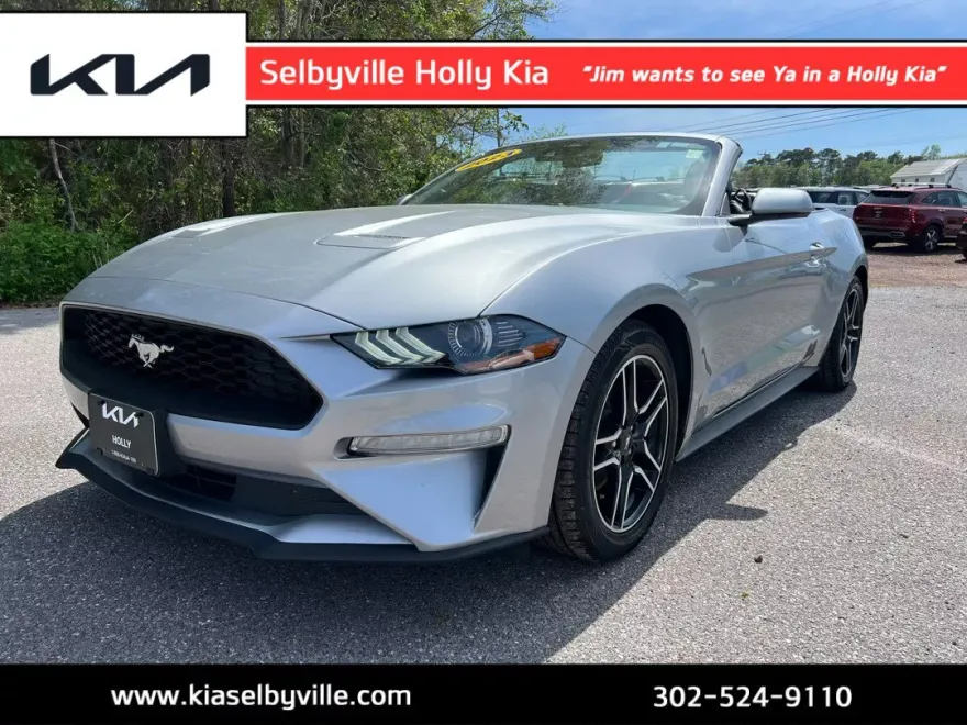 2023 Ford Mustang EcoBoost Premium photo 1
