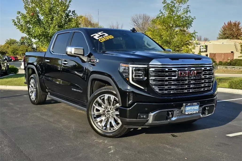 2025 Gmc Sierra 1500 Denali photo 1