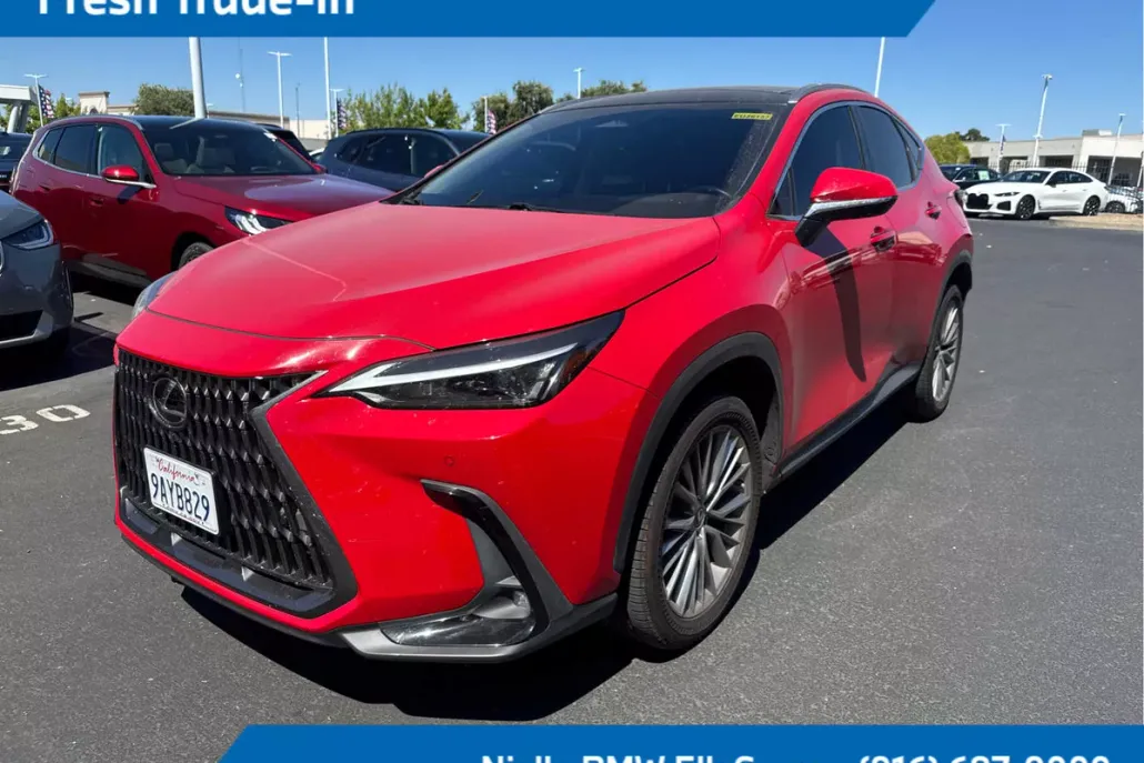 2022 Lexus NX Luxury photo 1