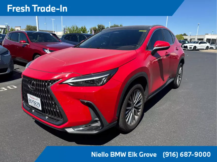 2022 Lexus NX Luxury photo 1