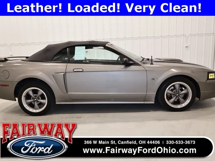 2002 Ford Mustang GT photo 1