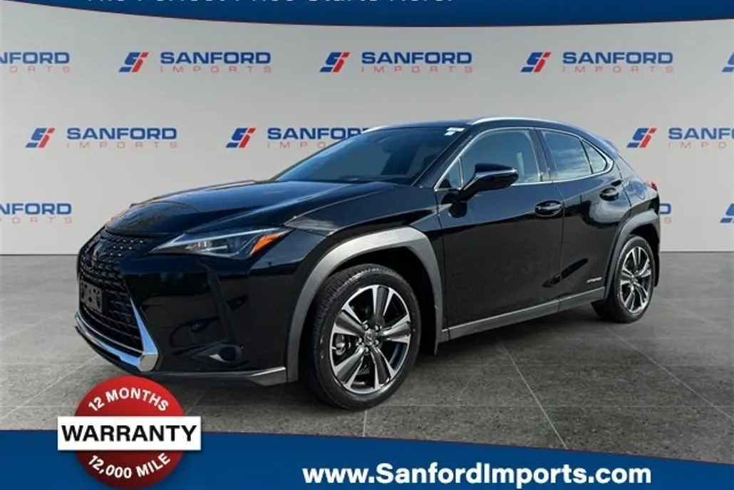 2019 Lexus UX 250h photo 1