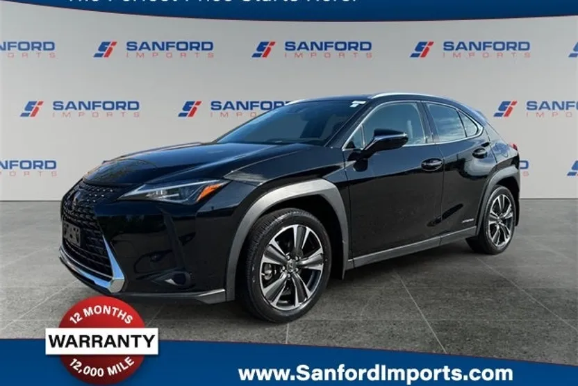 2019 Lexus UX 250h photo 1