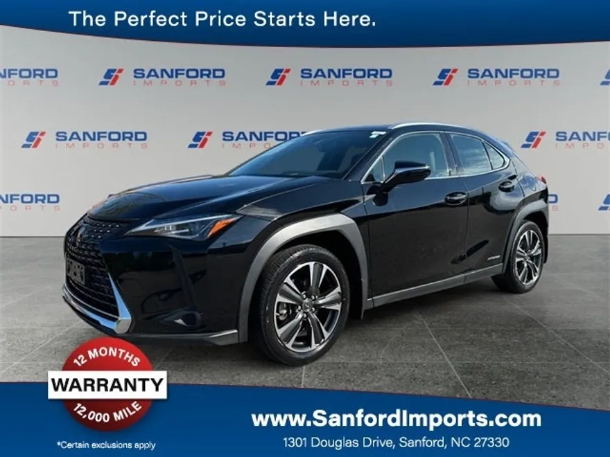 2019 Lexus UX 250h photo 1