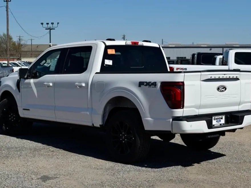 2025 Ford F-150 Platinum photo 1