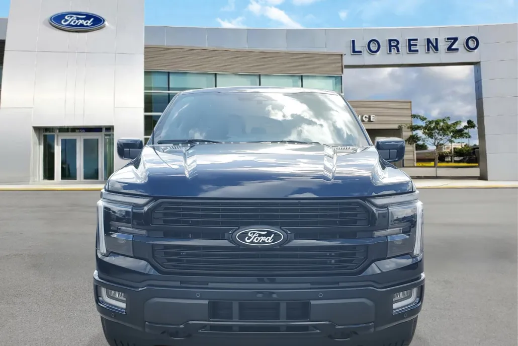 2025 Ford F-150 Platinum photo 1