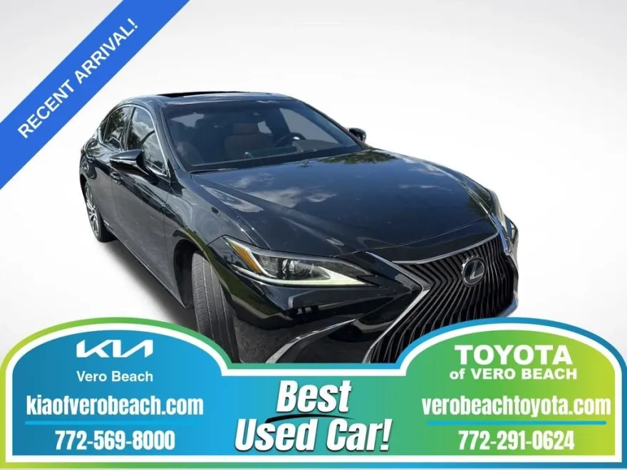 2019 Lexus ES 300h photo 1