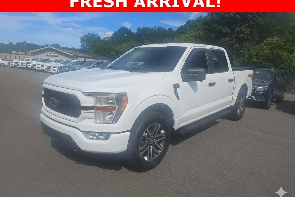 2021 Ford F-150 STX photo 1