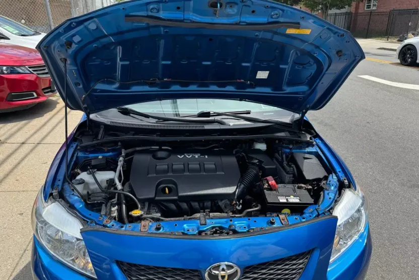 2010 Toyota Corolla LE photo 1