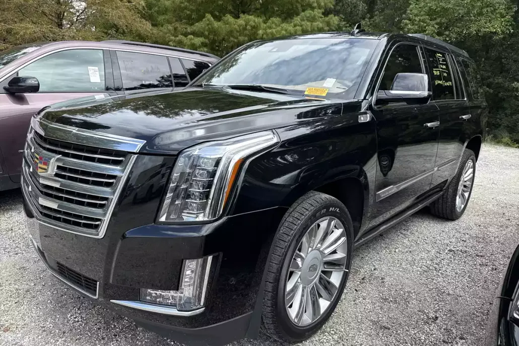 2020 Cadillac Escalade Platinum photo 1