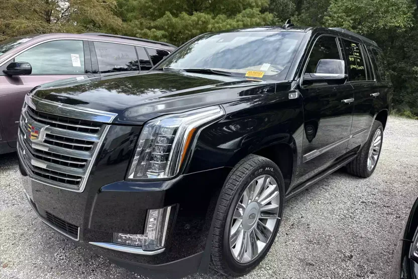 2020 Cadillac Escalade Platinum photo 1