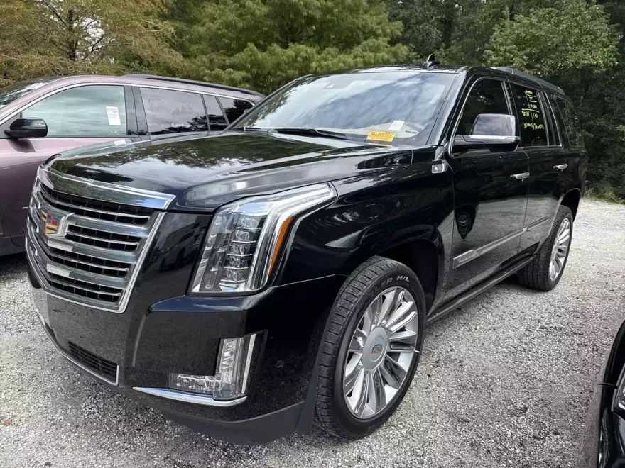2020 Cadillac Escalade Platinum photo 1