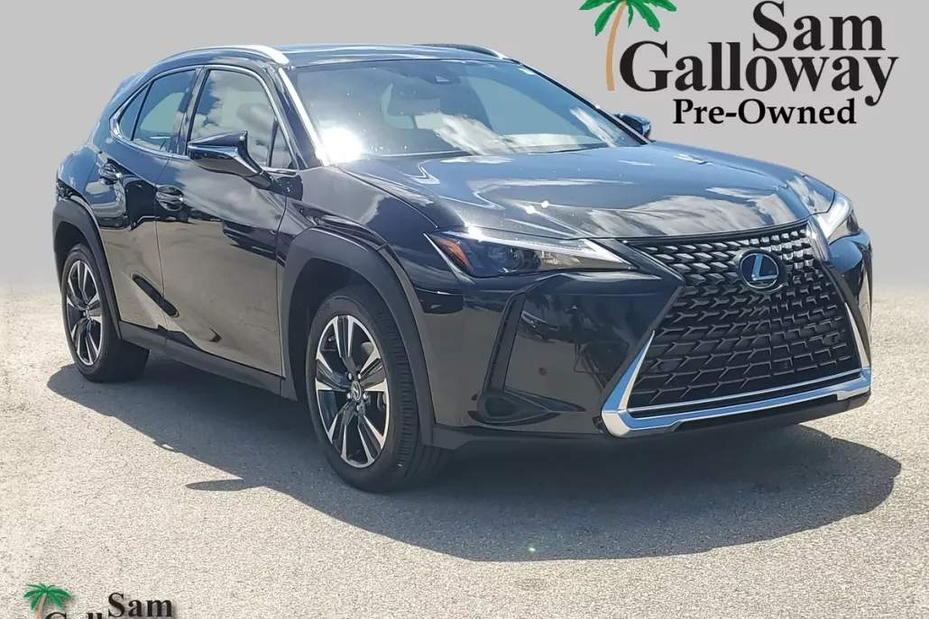 2024 Lexus UX 250h photo 1