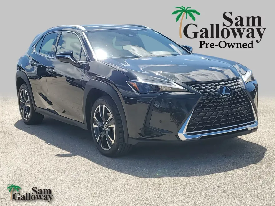2024 Lexus UX 250h photo 1