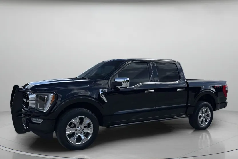 2023 Ford F-150 Platinum photo 1