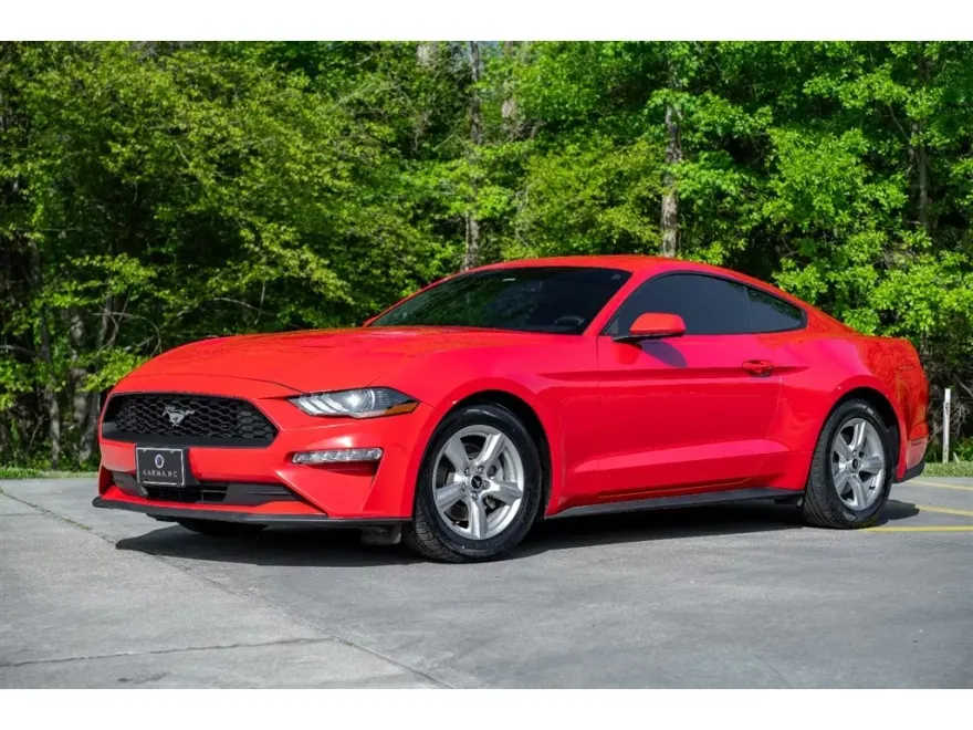 2019 Ford Mustang EcoBoost photo 1