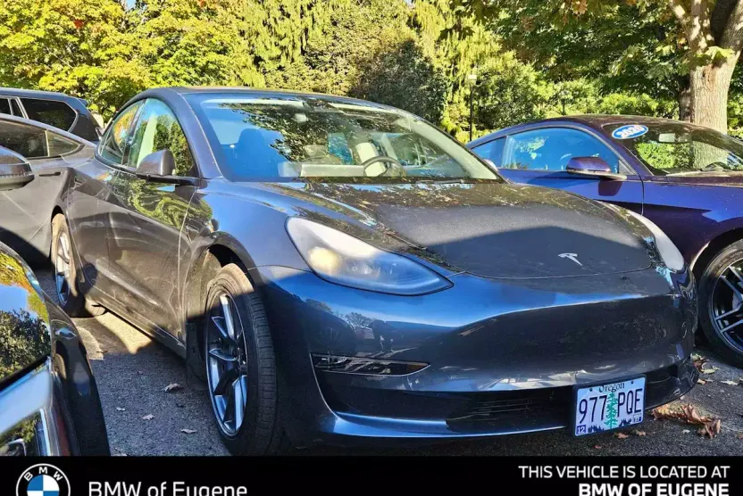2023 Tesla Model 3 photo 1