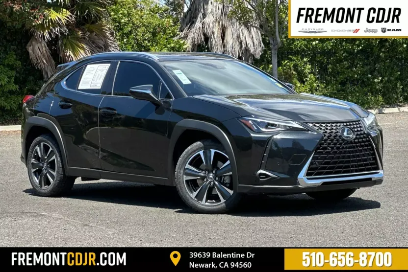 2022 Lexus UX 200 photo 1