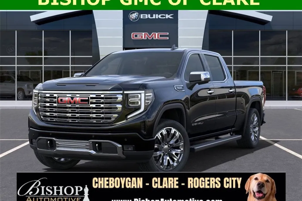 2025 Gmc Sierra 1500 Denali photo 1