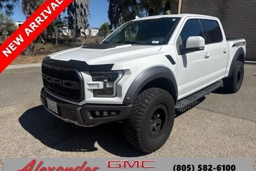 2019 Ford F-150 Raptor photo 1