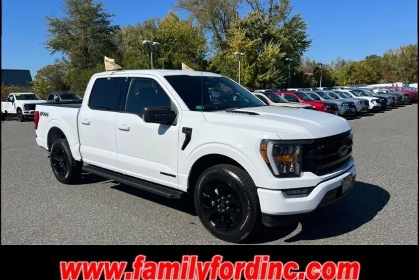 2022 Ford F-150 photo 1