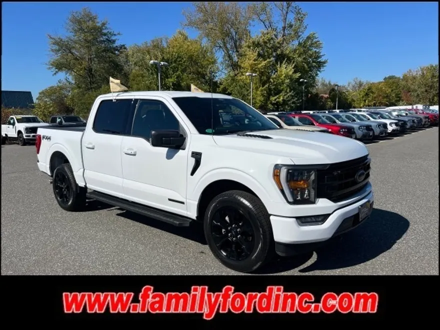 2022 Ford F-150 photo 1