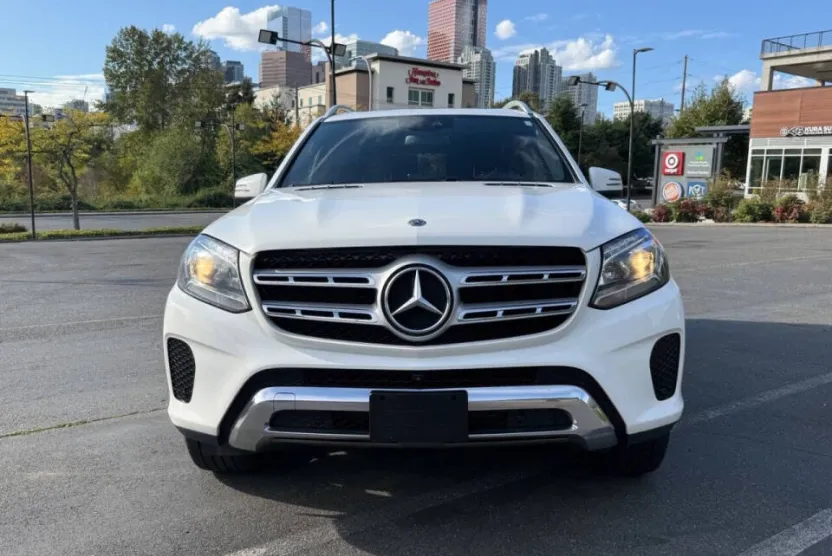 2019 Mercedes Benz GLS 450 photo 1