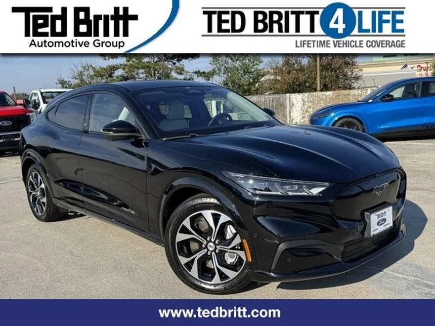 2021 Ford Mustang Mach-E Premium photo 1