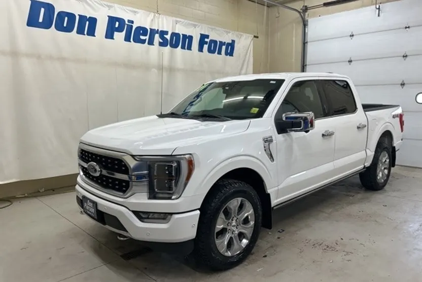 2021 Ford F-150 Platinum photo 1