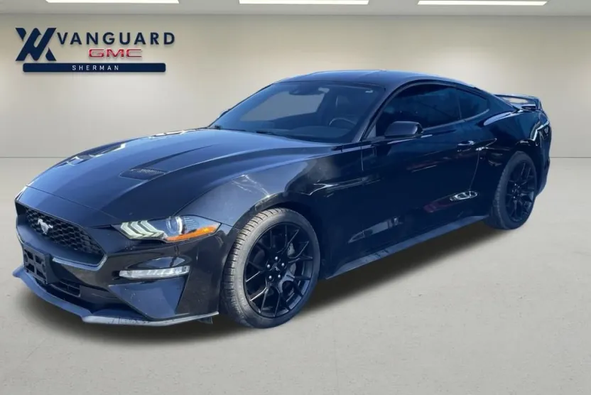 2019 Ford Mustang EcoBoost Premium photo 1