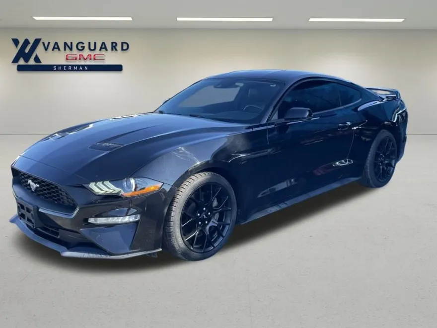 2019 Ford Mustang EcoBoost Premium photo 1