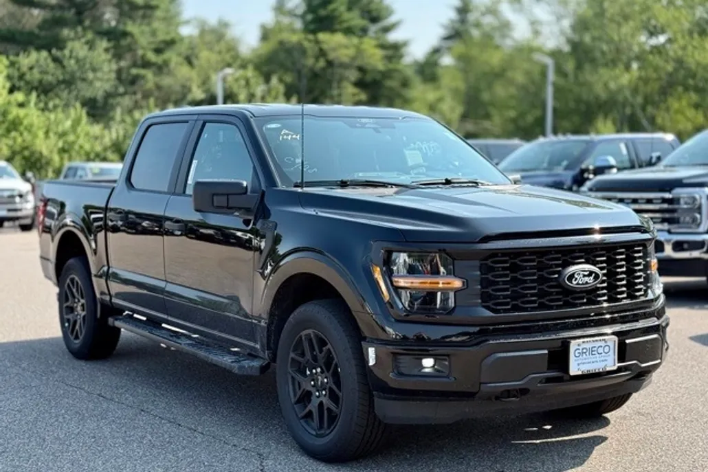 2025 Ford F-150 STX photo 1