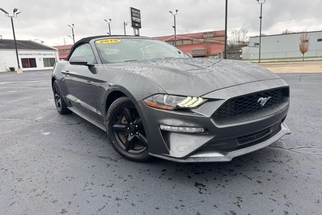 2019 Ford Mustang EcoBoost photo 1