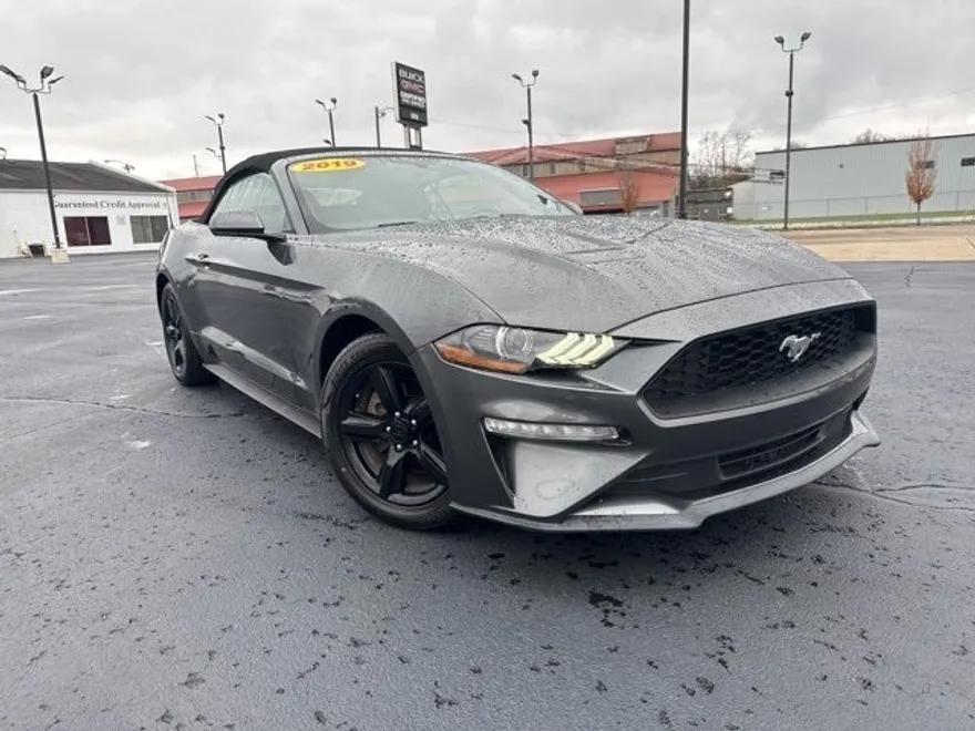 2019 Ford Mustang EcoBoost photo 1