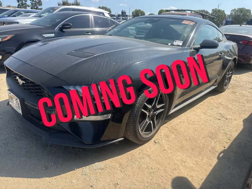 2023 Ford Mustang EcoBoost Premium photo 1