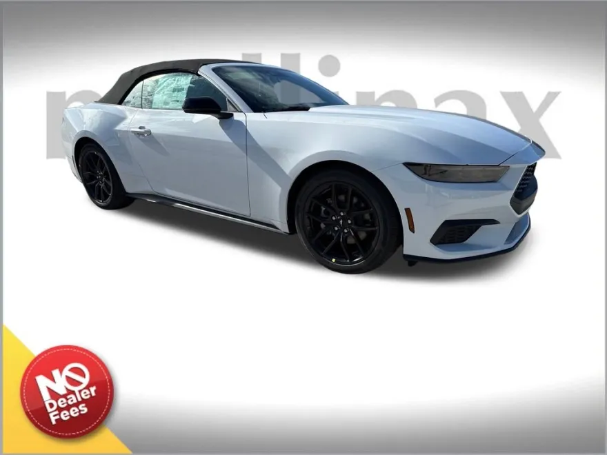 2025 Ford Mustang EcoBoost Premium photo 1