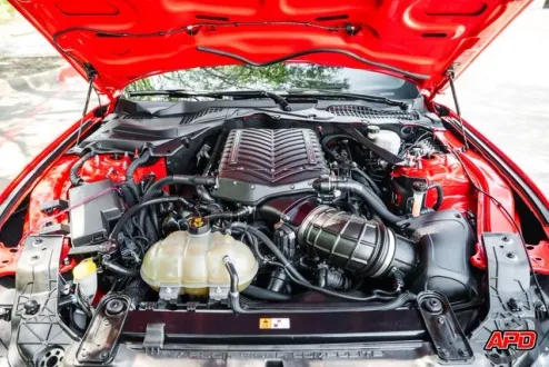 2019 Ford Mustang Shelby GT350 photo 2