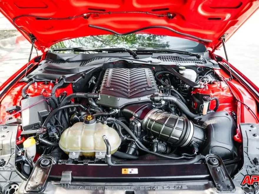 2019 Ford Mustang Shelby GT350 photo 2