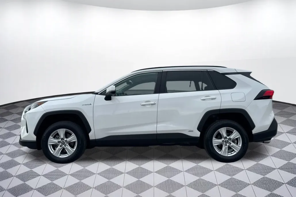 2019 Toyota RAV4 Hybrid LE photo 1