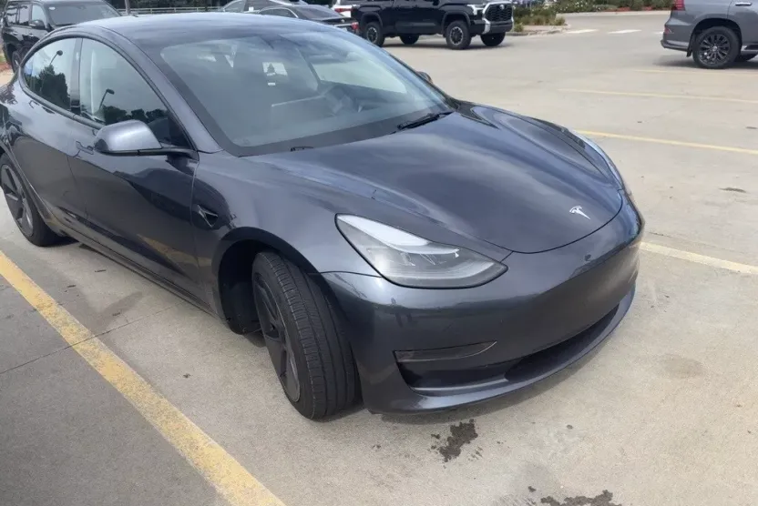 2023 Tesla Model 3 photo 1
