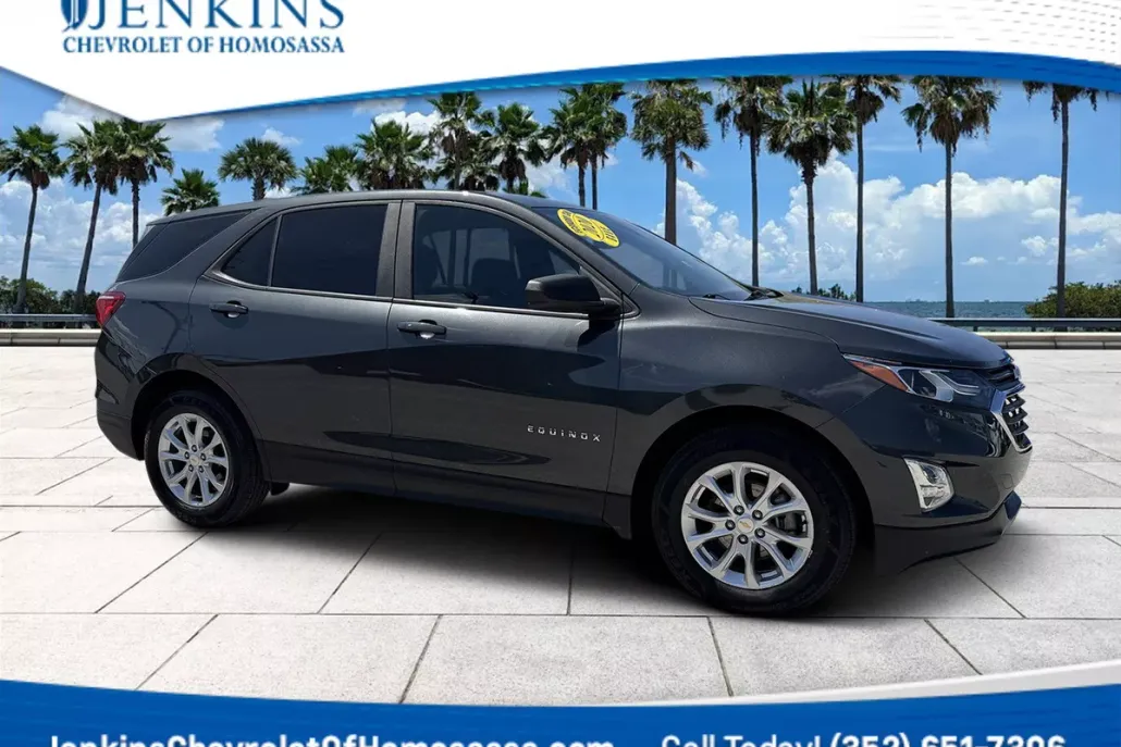 2020 Chevrolet Equinox LS photo 1