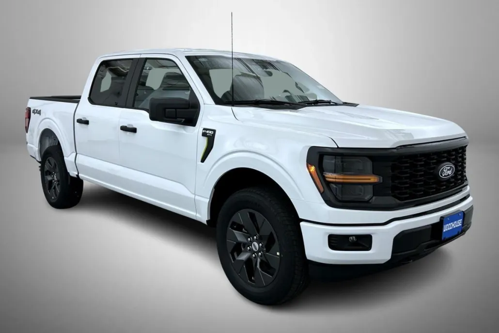 2025 Ford F-150 STX photo 1