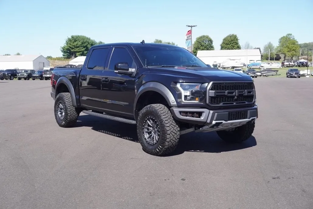 2020 Ford F-150 Raptor photo 1