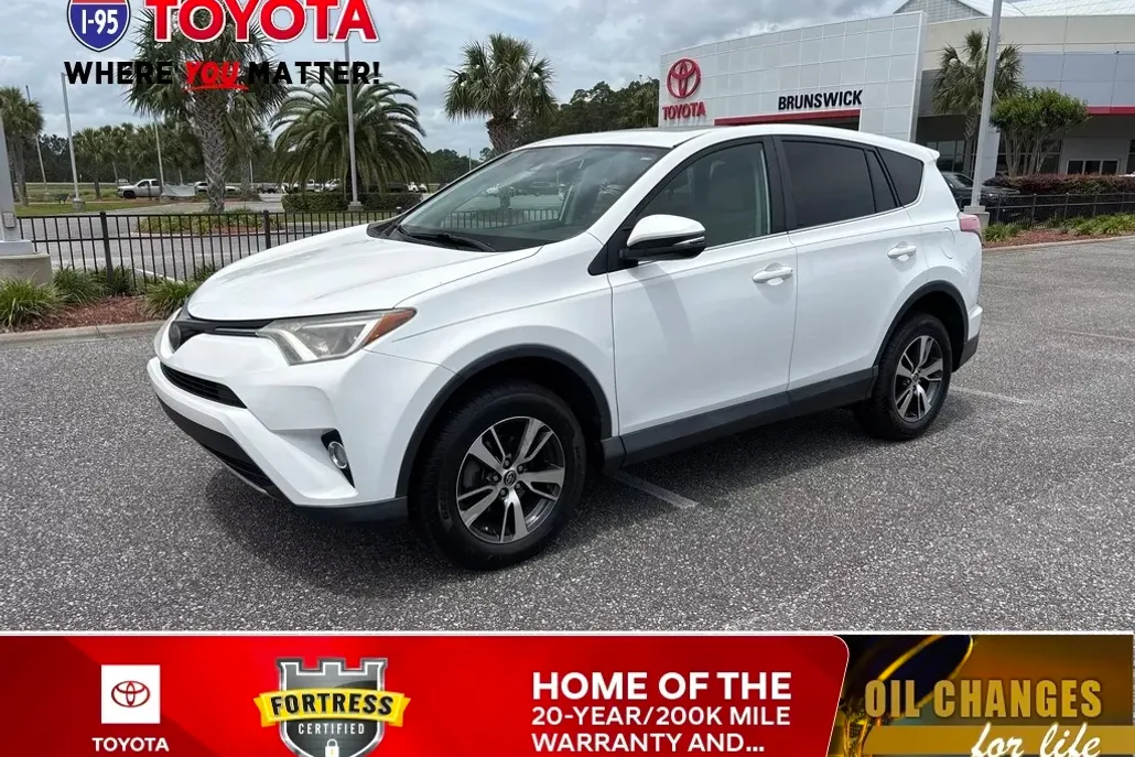 2018 Toyota RAV4 XLE photo 1