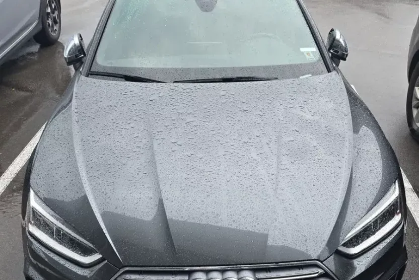 2019 Audi S5 Premium Plus photo 1