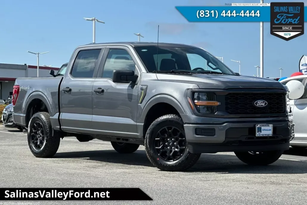 2025 Ford F-150 STX photo 1