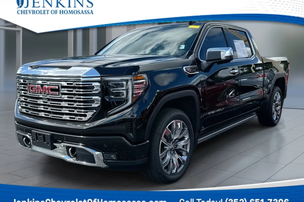 2024 Gmc Sierra 1500 Denali photo 1