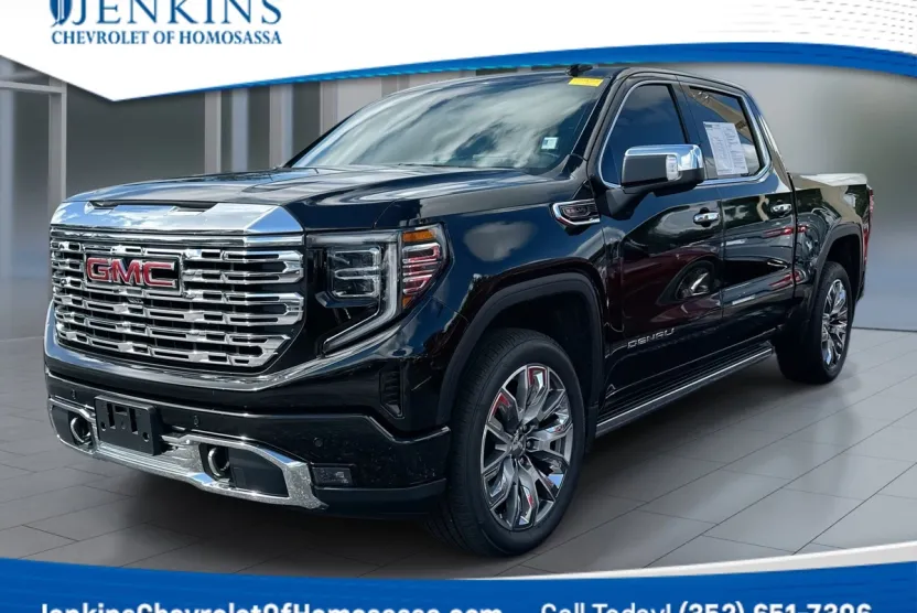 2024 Gmc Sierra 1500 Denali photo 1